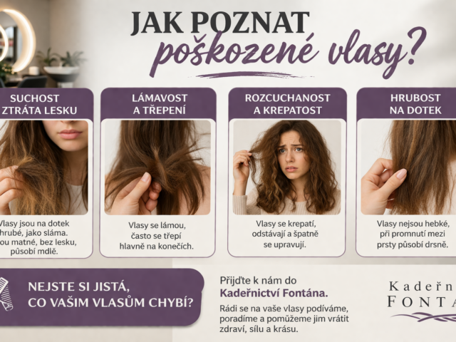 Jak poznat poškozené vlasy