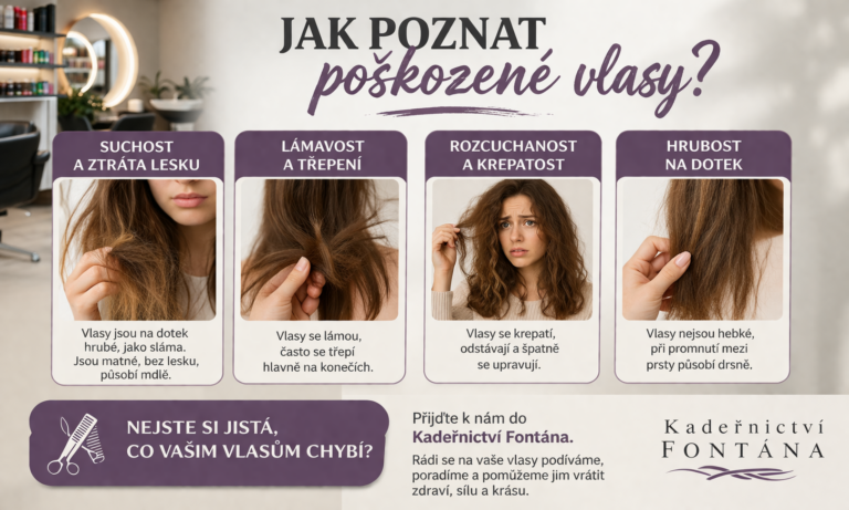 Jak poznat poškozené vlasy